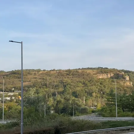 Apartment Mg - Location *